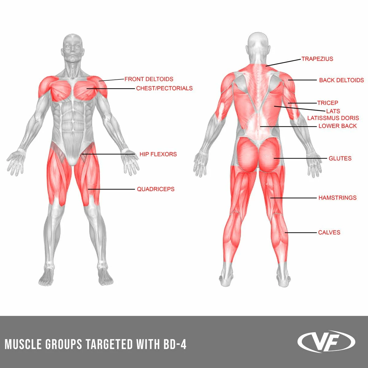 Valor Fitness BD-4, Squat/Bench Press Rack - Image 12