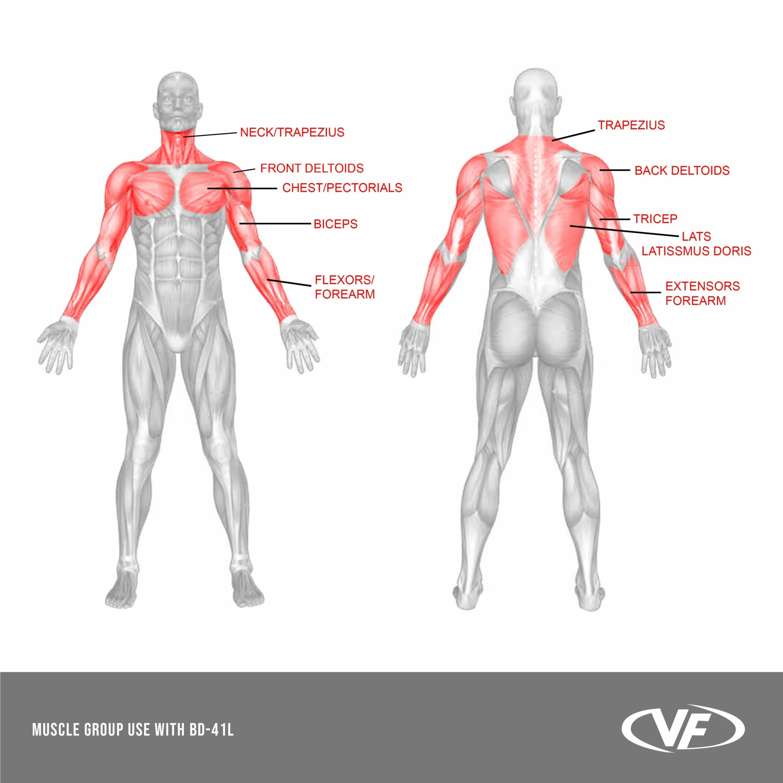 Valor Fitness BD-41L, Lat Pull Attachment For BD-41 Rack - Image 9