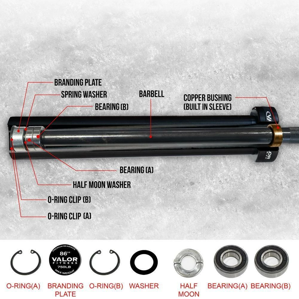 Valor Fitness OB-86-750B, Men's Olympic Bar - Image 6