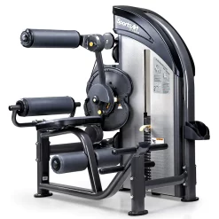 Selectorized Back Extension / Abdominal Crunch Machine -- SportsArt (DF206)